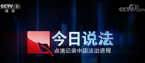 今日说法节目爆料视频  第3张